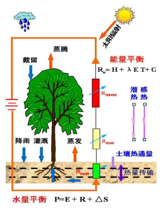 蒸散量测定方法及原理！