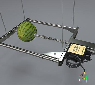 树干生长传感器、西瓜生长传感器