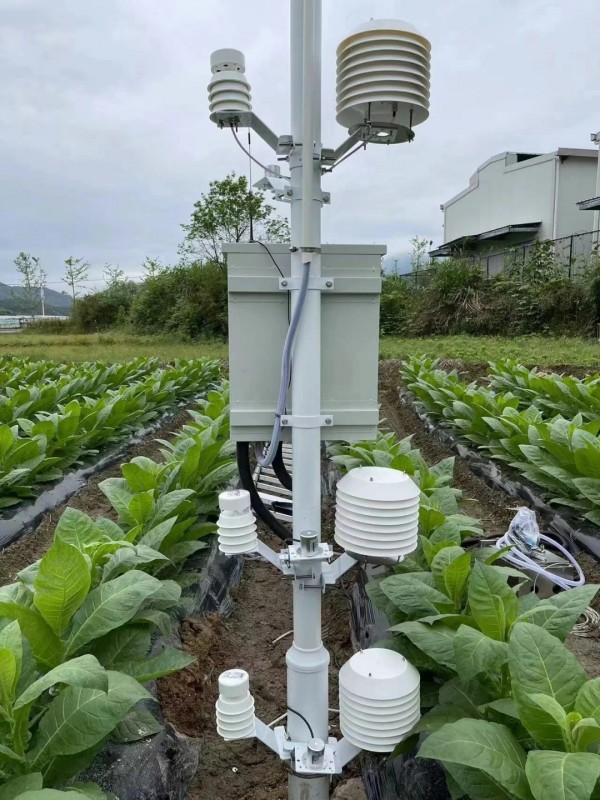 云南烟草种植基地墒情气象监测系统安装落成！